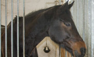 08.02.2018 – Abenteuer WOLTERs  HOF