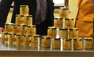 Magdeburger Bienenhonig