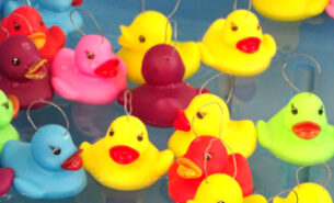 Sommerfest der Tafel Magdeburg