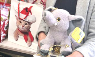 Spende der Kita Lennéstraße